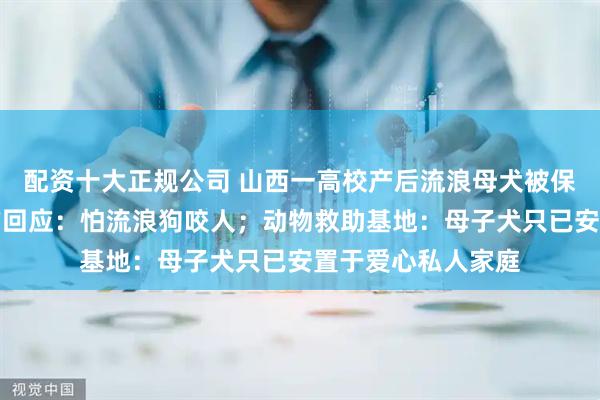 配资十大正规公司 山西一高校产后流浪母犬被保安拖走处置，校方回应：怕流浪狗咬人；动物救助基地：母子犬只已安置于爱心私人家庭